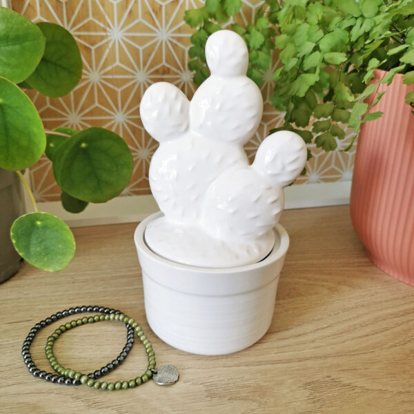 Boîte cactus en céramique blanche brillante avec couvercle décoratif