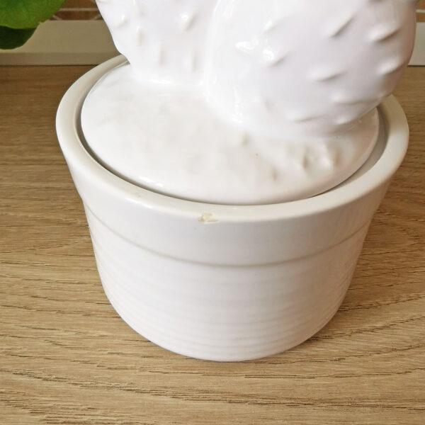 Boite fantaisie en céramique blanche – Cactus décoratif – Image 4